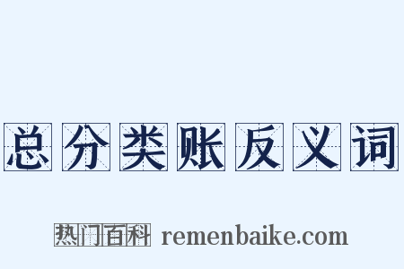 总分类账反义词是什么意思的图片